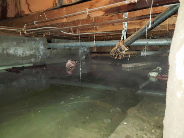 Best Water damage restoration near me  in Mercerville, NJ