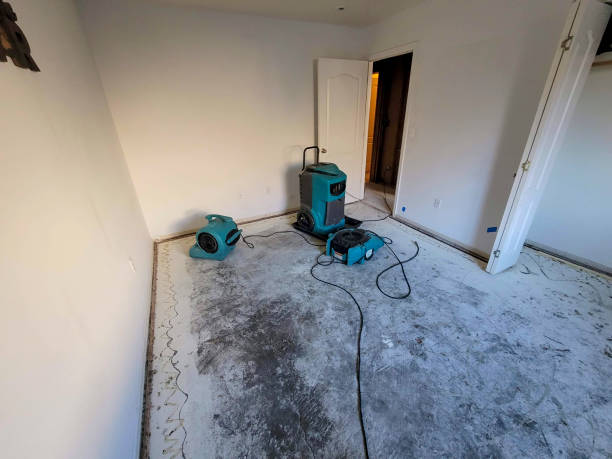 Best Carpet water damage restoration  in Mercerville, NJ