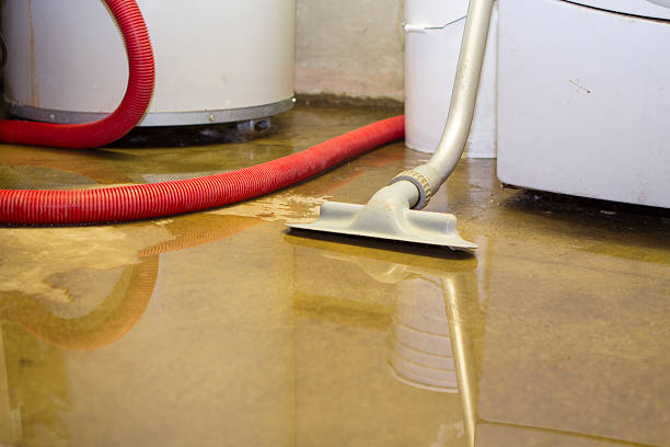 Best Sewage cleanup and water damage restoration  in Mercerville, NJ